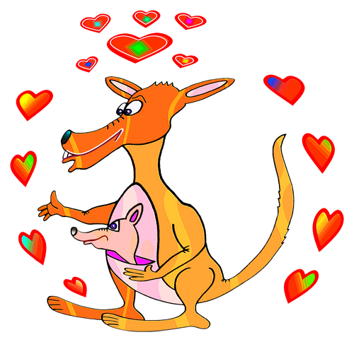 Känguru Australien